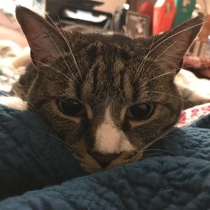 Meet your Posher, Jenn